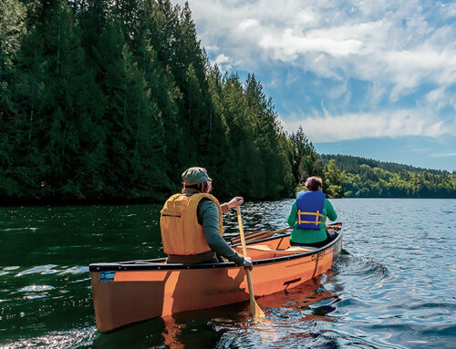 Have Paddle, Will Travel